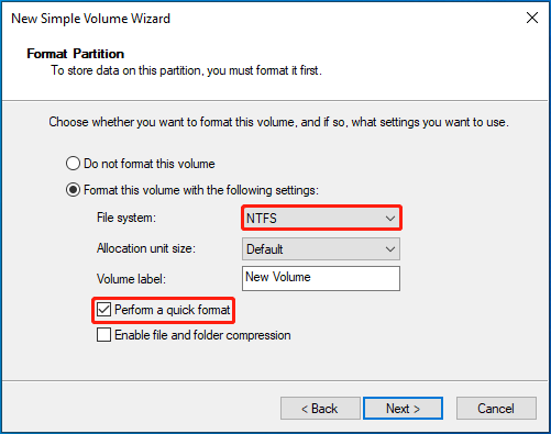 format the partition