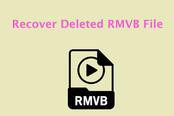 [Step-by-Step Guide] How to Recover Deleted RMVB File?