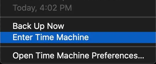 select Enter Time Machine