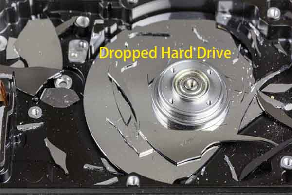 What Can You Do on a Dropped Hard Drive and How to Repair It