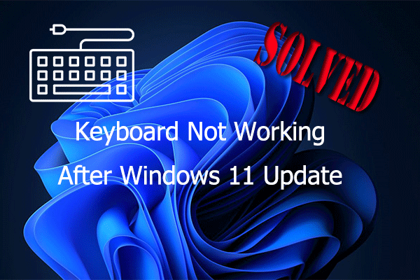 What to Do If Keyboard Not Working After Windows 11 Update?