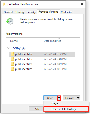 select Open in File History