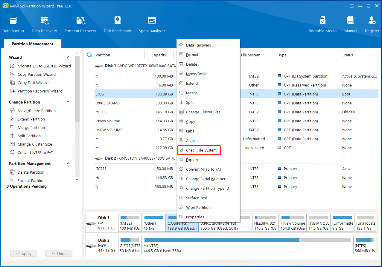 choose Check File System