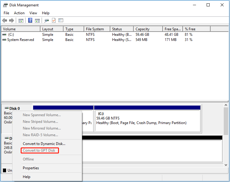 check disk type in Disk Management