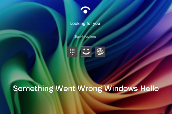 What to Do If Something Went Wrong When Logging in Windows?