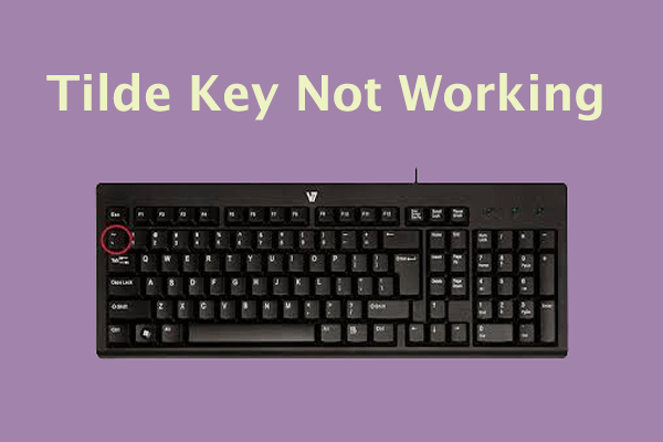 How to Fix Tilde Key Not Working? Here Are 4 Solutions