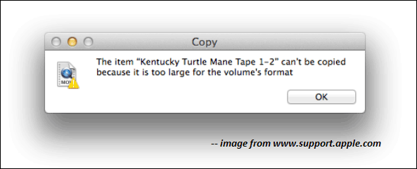 too large for the volume’s format error message