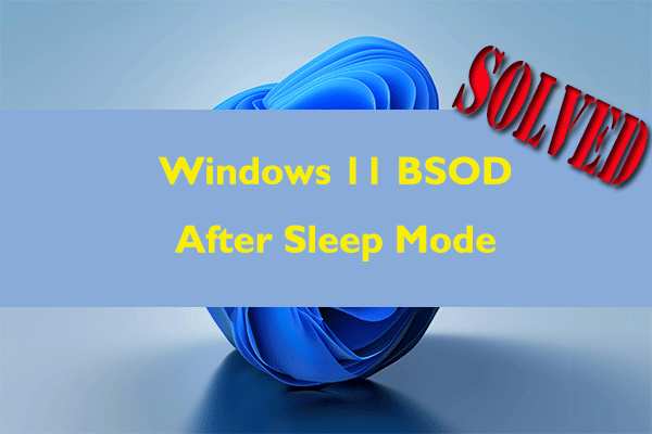 What to Do If Windows 11 BSOD After Sleep Mode?