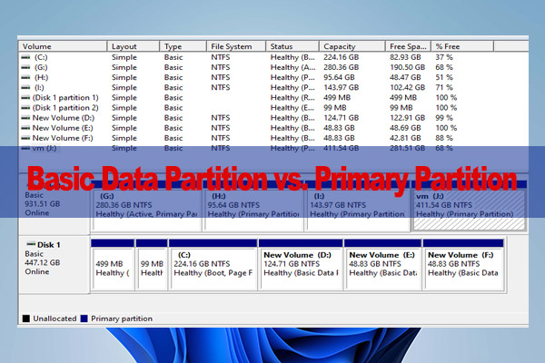 Basic Data Partition vs Primary Partition | Here’s the Answer