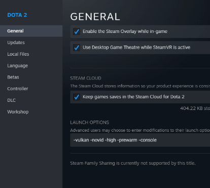 Dota 2 launch options