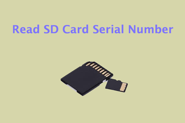 SD Card Serial Number: How to Read SD Card Serial Number?