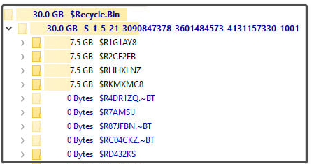 $Recycle.Bin folder hogging