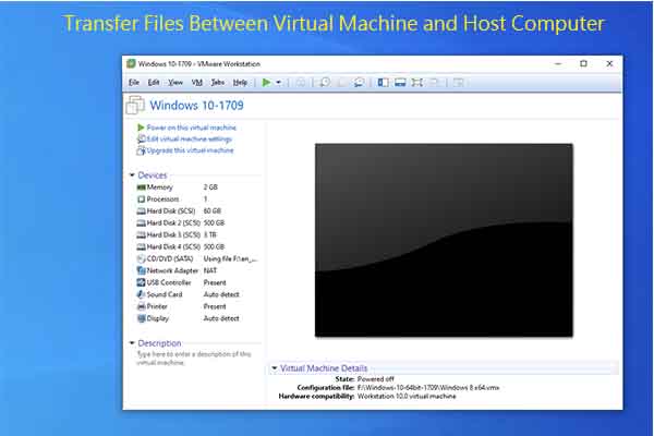 How to Transfer Files Between Virtual Machine and Host Computer