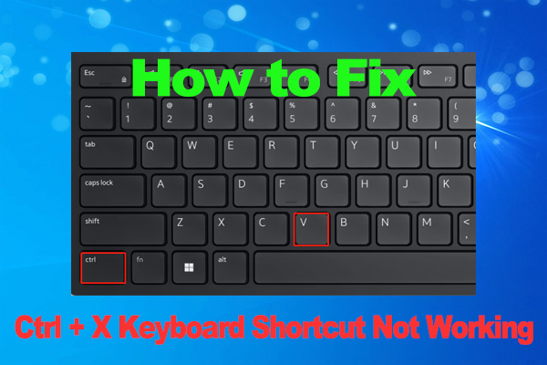 Ctrl + X Keyboard Shortcut Not Working on Windows 10/11 [Fixed]