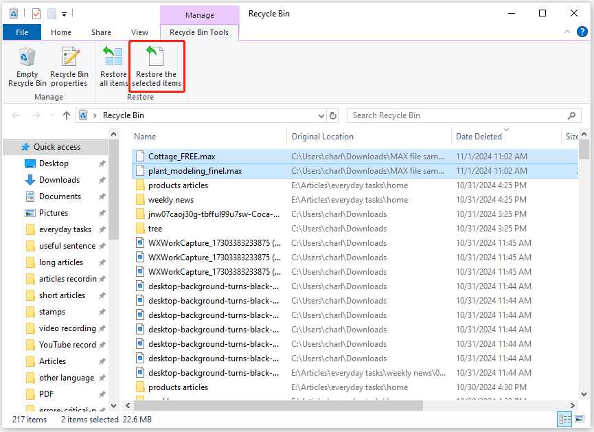 click the Restore the selected items option in the Recycle Bin window