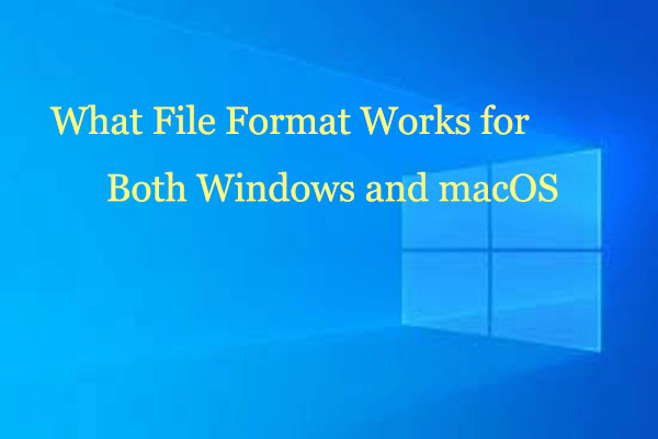 What File Format Works for Both Windows and macOS?