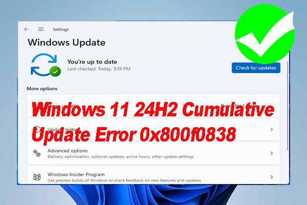 How to Fix Windows 11 24H2 Cumulative Update Error 0x800f0838