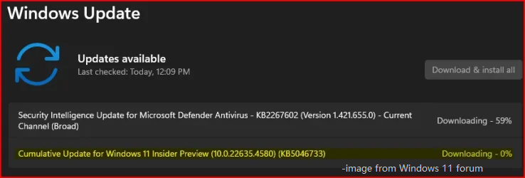 Windows 11 Insider Preview KB5046733