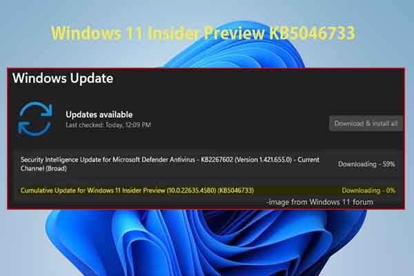 Windows 11 Insider Preview KB5046733 Roadmap Guide