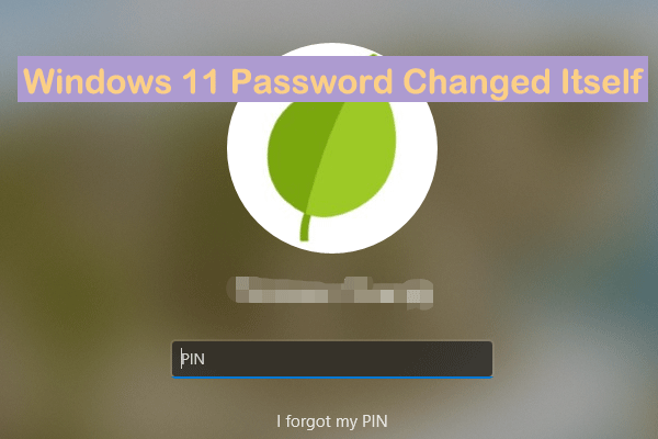 Windows 11 Password Changed Itself? Pro Guide to Fix It