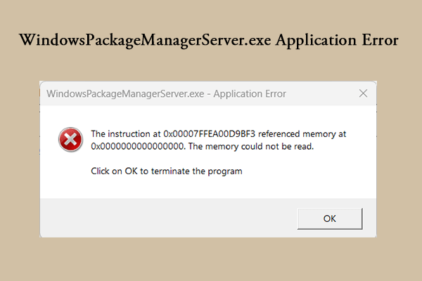 How to Fix WindowsPackageManagerServer.exe Application Error