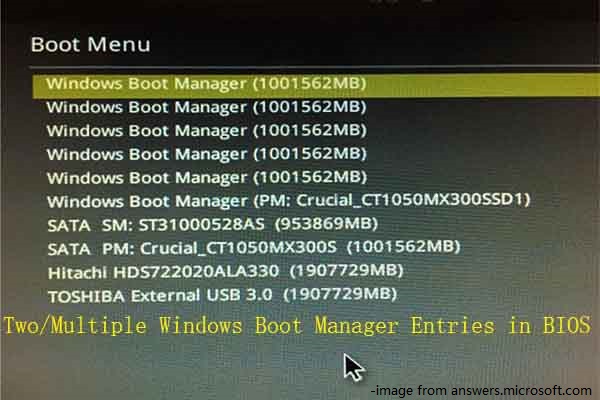 BIOS Show Two Boot Manager: Reduce the Unnecessary One