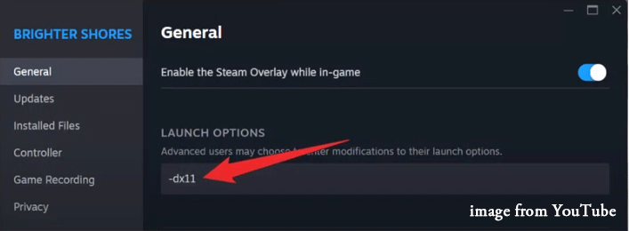 modify the launch options