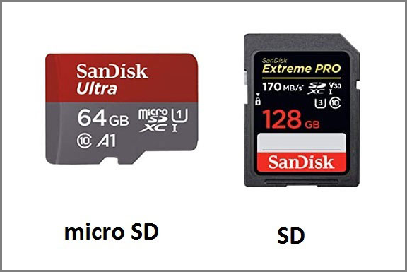 SD and microSD