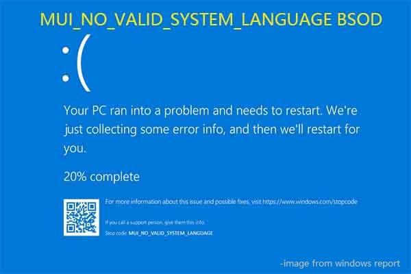 MUI_NO_VALID_SYSTEM_LANGUAGE BSOD – Ultimate Guide