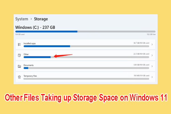 Other Files Taking up Storage Space on Windows 11/10? [Fixed]