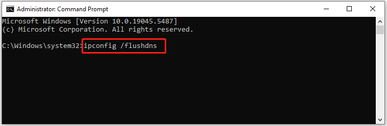 type and run the command to flush DNS