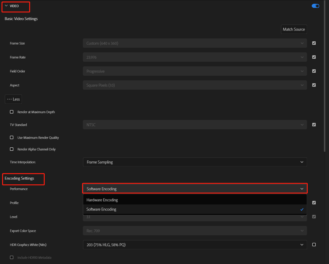 switch to Software Rendering