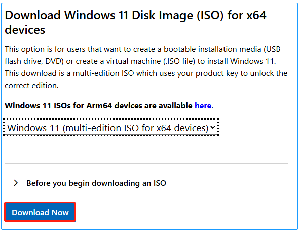 Download Windows 11 Disk Image (ISO) for x64