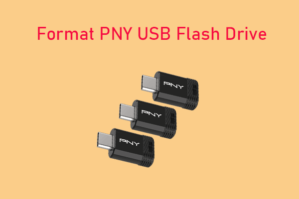 Complete Guide on How to Format PNY USB Flash Drive