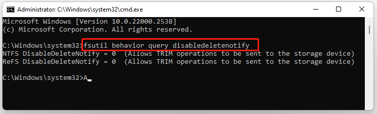 check TRIM in Command Prompt