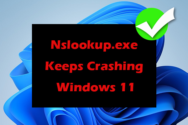 What to Do If Nslookup.exe Keeps Crashing Windows 11/10
