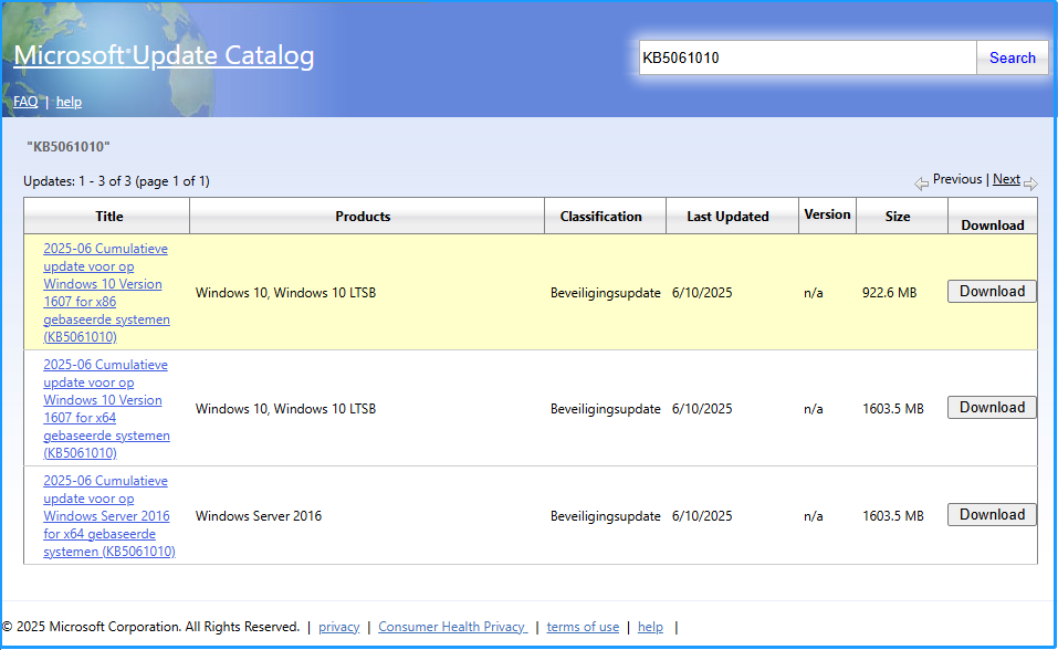download KB5061010 from Microsoft Catalog