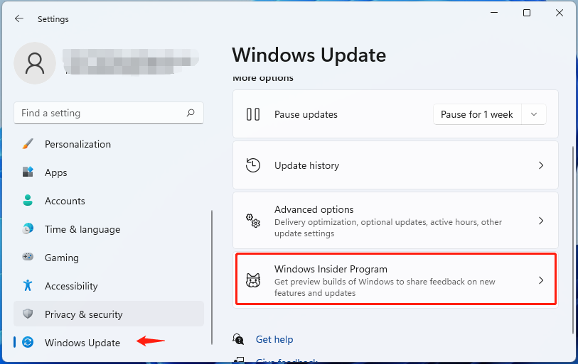 select Windows Insider Program