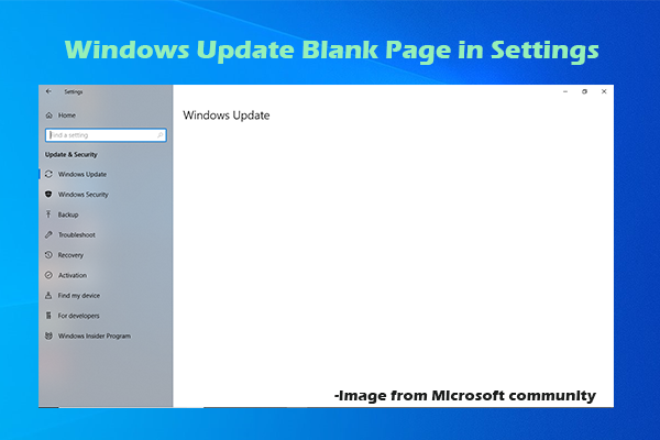 Top 5 Ways to Fix Windows Update Blank Page in Settings