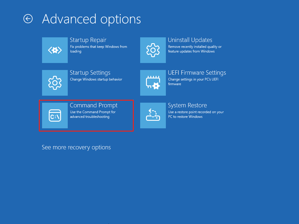 choose Command Prompt in Windows Recovery Environment
