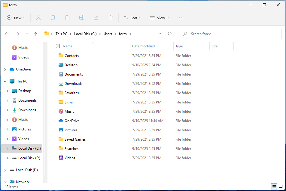 screenshot showing user folder in File Explorer