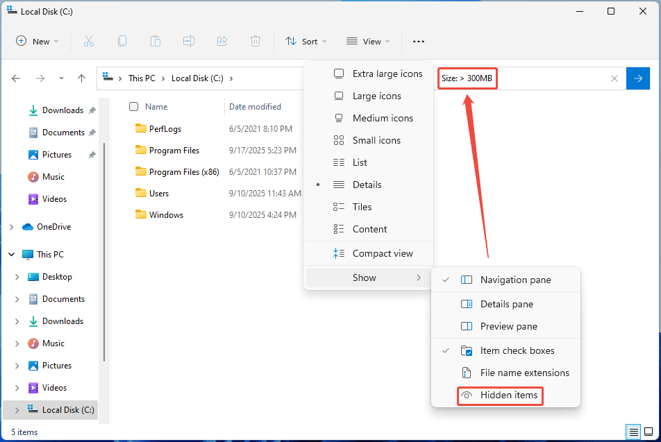screenshot showing Hidden items in File Explorer