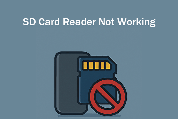 SD Card Reader Not Working on Windows? 8 Effective Solutions