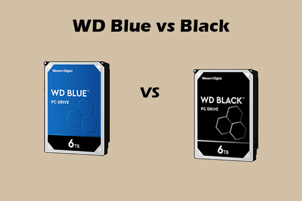WD Blue vs WD Black: Which Hard Drive Fits Your Needs