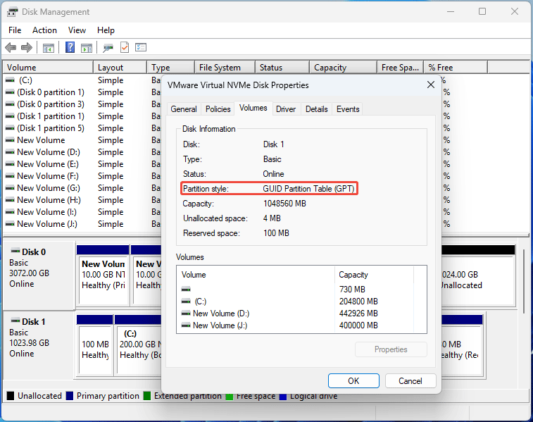 screenshot showing Disk Information in Disk Management