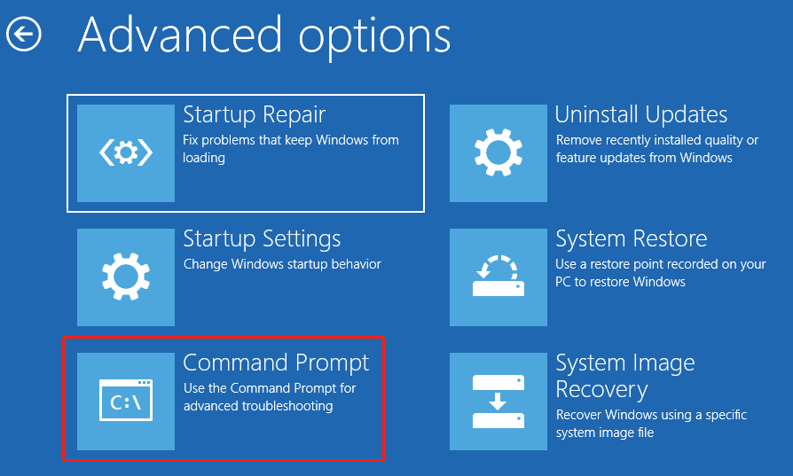 run the command from the WinPE