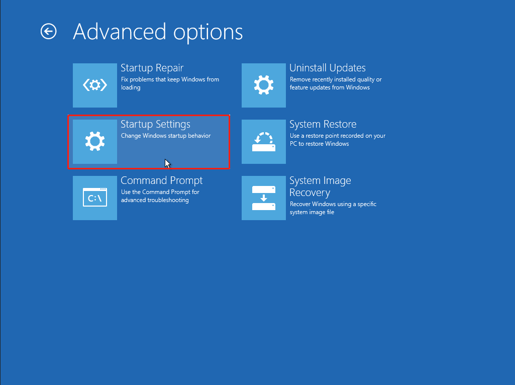 select Startup Settings