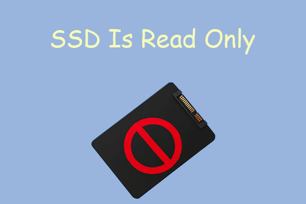Why Is My SSD Read Only on Windows? Causes and Fixes Explained