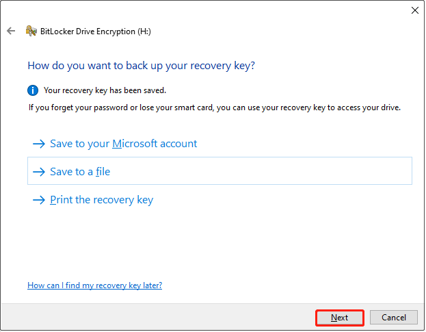 BitLocker interface for choosing how to back up the recovery key, with the Next button selected.