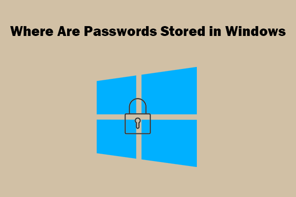 How to View Saved Passwords in Windows [3 Approaches]